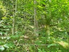 97.89 +/- Acres | 3 Bedroom, 2 Bath Home