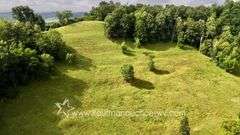 82 +/- Acre Lewis County Farm