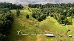 82 +/- Acre Lewis County Farm