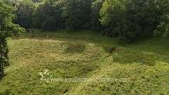 82 +/- Acre Lewis County Farm
