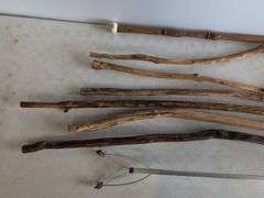 (7) unique walking sticks and grabber