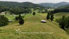 82 +/- Acre Lewis County Farm