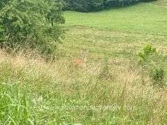 145.71 +/- Acres | Home Built in 1991 - 2 Bedroom, 2 Bath