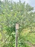 145.71 +/- Acres | Home Built in 1991 - 2 Bedroom, 2 Bath