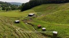 82 +/- Acre Lewis County Farm
