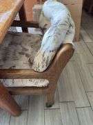 WOODEN TABLE WITH 4 ROLLING CHAIRS