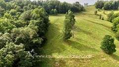 82 +/- Acre Lewis County Farm