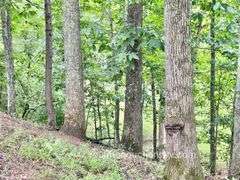82 +/- Acre Lewis County Farm