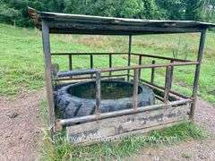 82 +/- Acre Lewis County Farm