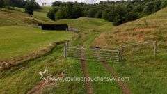 82 +/- Acre Lewis County Farm