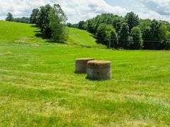 Parcel 2: 29.3 acres with 223’ frontage on SR 164