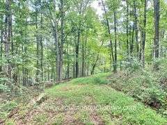 145.71 +/- Acres | Home Built in 1991 - 2 Bedroom, 2 Bath