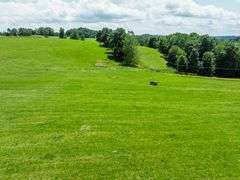 Parcel 2: 29.3 acres with 223’ frontage on SR 164