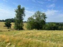 Parcel 1: 9.6 acres with 600’ frontage on Autumn Road