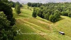 82 +/- Acre Lewis County Farm