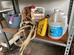 SHELF AND ITS CONTENTS (PICTURED)