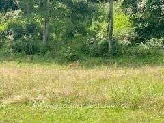 97.89 +/- Acres | 3 Bedroom, 2 Bath Home