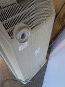Clean-HEPA system, mirror, painting, luggage, and plastic chandelier