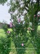 145.71 +/- Acres | Home Built in 1991 - 2 Bedroom, 2 Bath