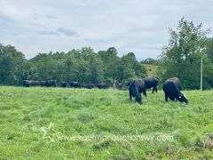 145.71 +/- Acres | Home Built in 1991 - 2 Bedroom, 2 Bath