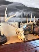 Contents of Live Auction