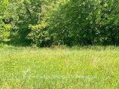 97.89 +/- Acres | 3 Bedroom, 2 Bath Home