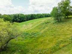 Parcel 2: 29.3 acres with 223’ frontage on SR 164