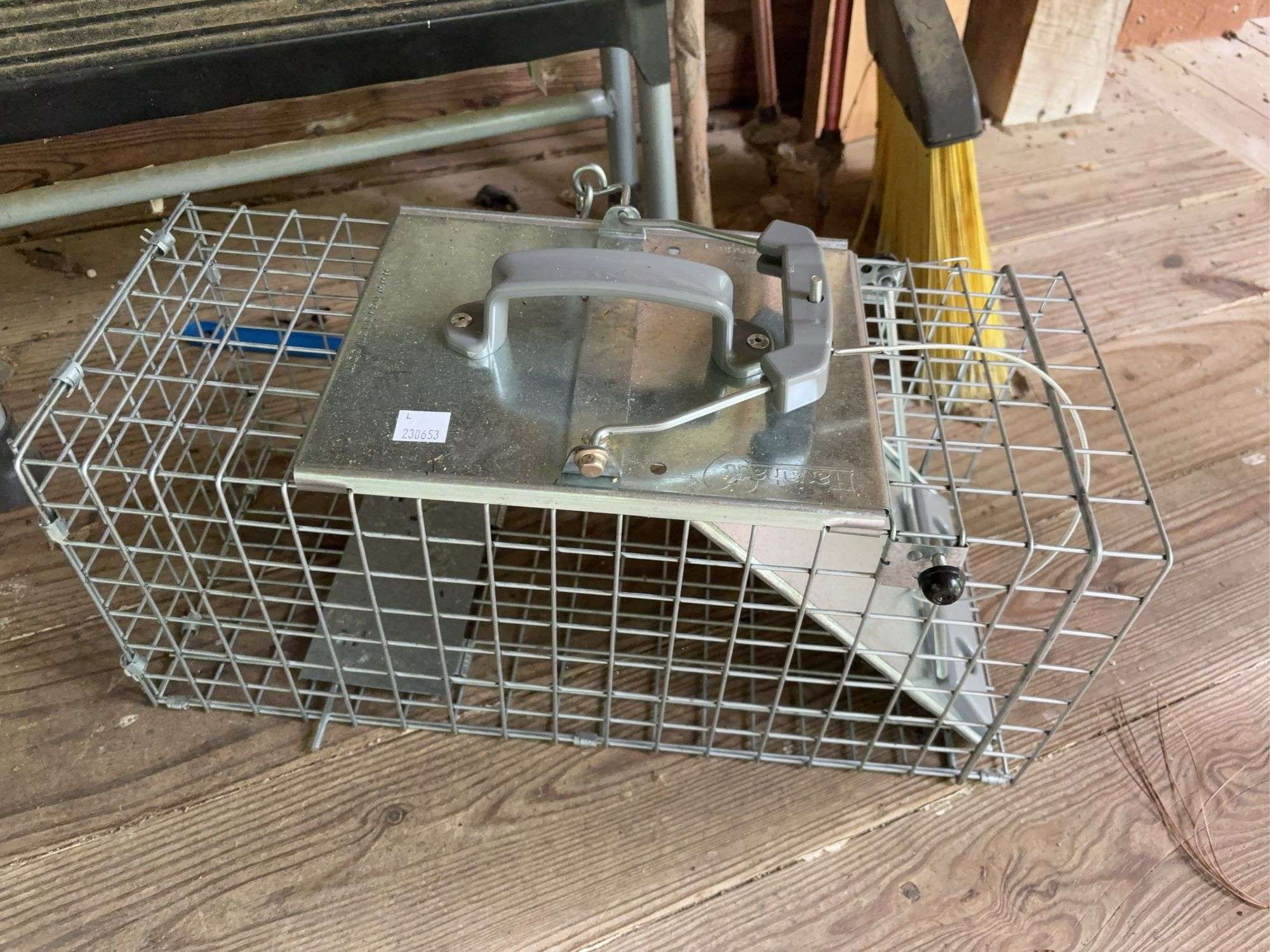 Step ladder, live animal trap, broom, and walking sticks