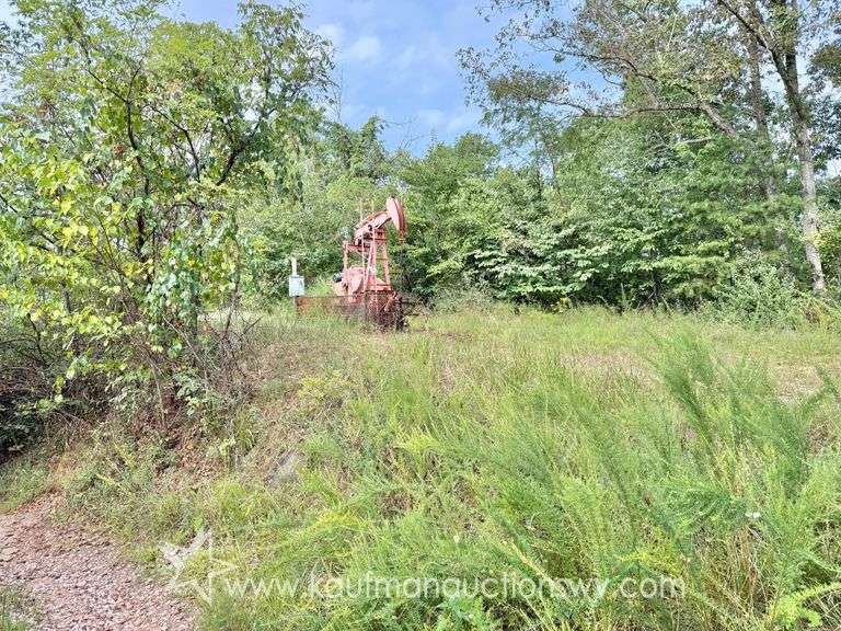 39+/- Acre Clay County Land