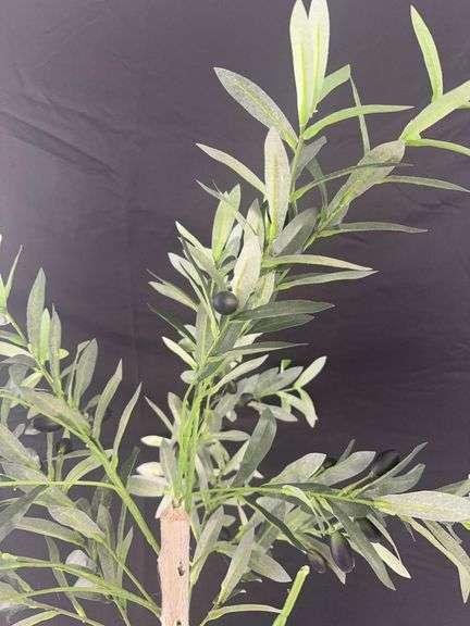 Small Fake Olive Tree