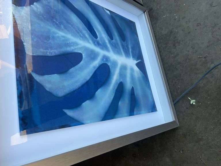 (2) Framed Prints from Unknown Artist