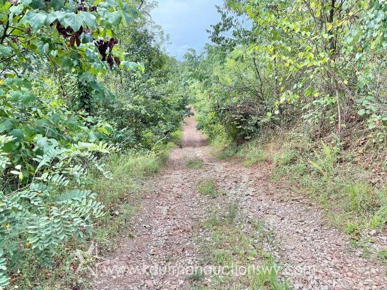 39+/- Acre Clay County Land