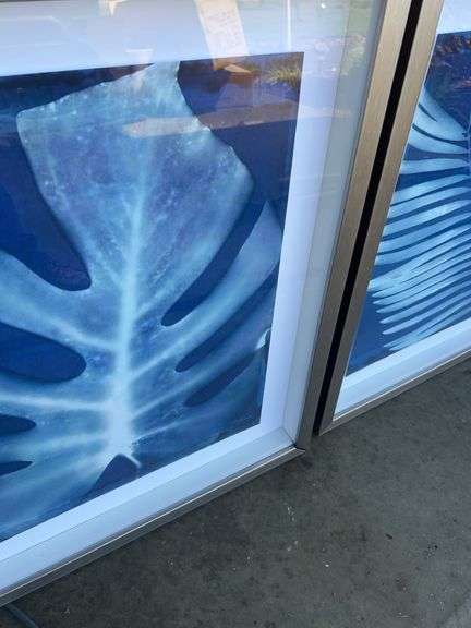 (2) Framed Prints from Unknown Artist