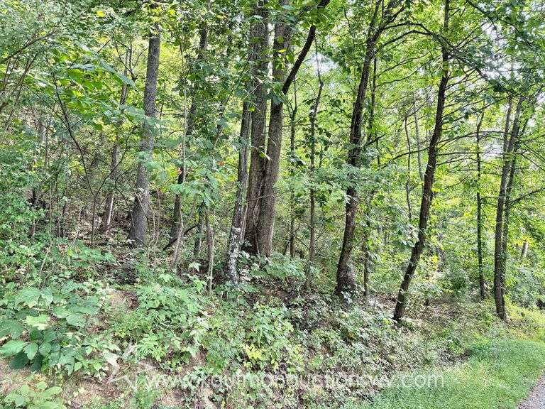 39+/- Acre Clay County Land