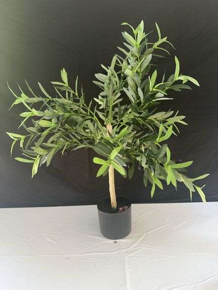 Small Fake Olive Tree