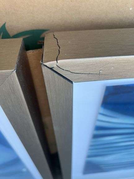 (2) Framed Prints from Unknown Artist