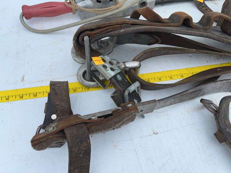 Tree Climbing Tools