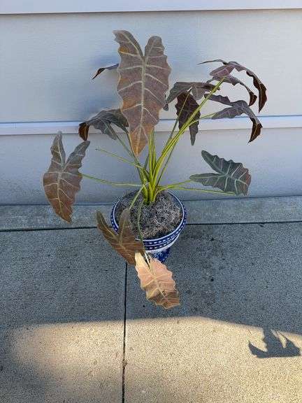 Planter w/ Fake Plant