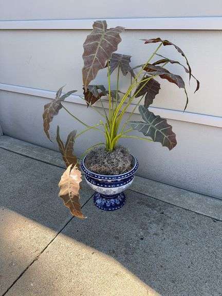 Planter w/ Fake Plant