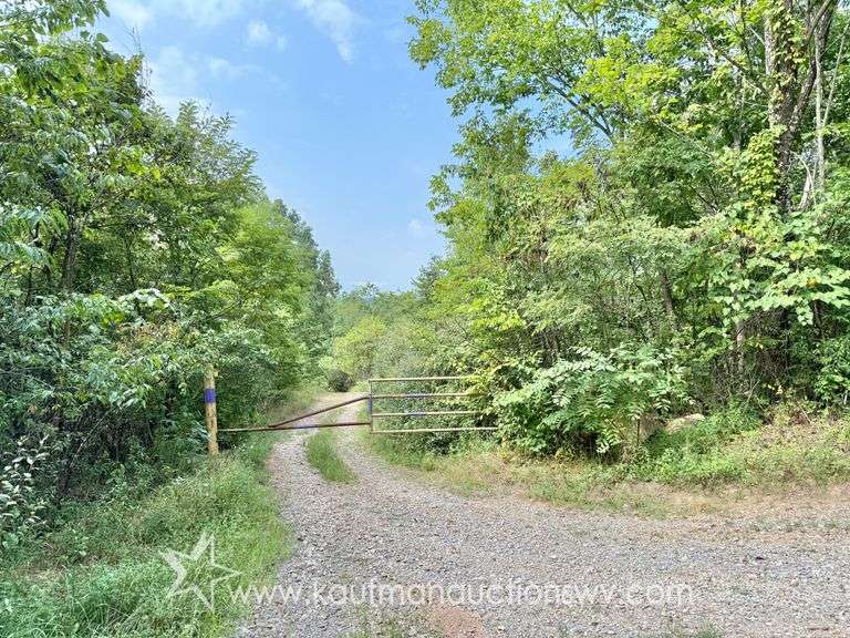 39+/- Acre Clay County Land