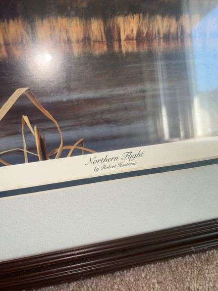 “Northern Flight” by Robert Hautman Duck Framed Artwork