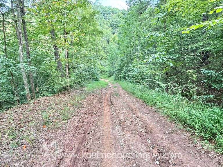 39+/- Acre Clay County Land