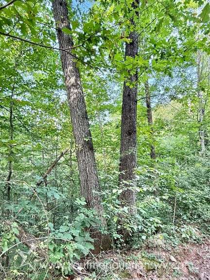 39+/- Acre Clay County Land