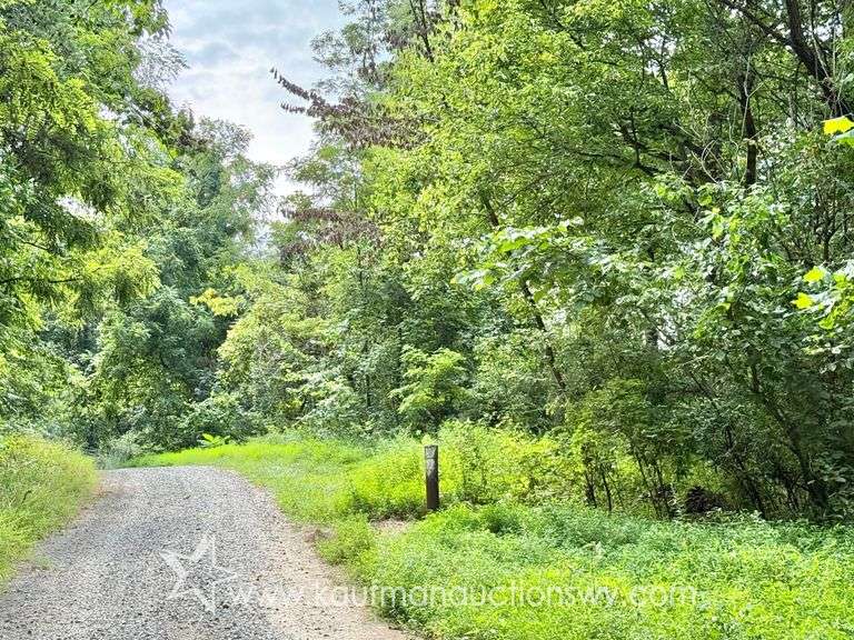39+/- Acre Clay County Land
