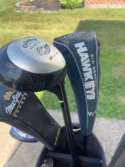 Leopard Print Golf Bags with Clubs