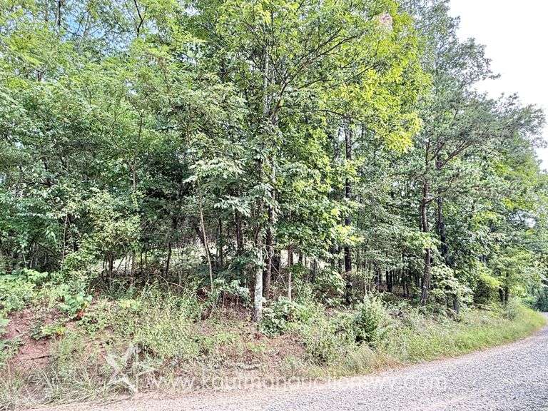 39+/- Acre Clay County Land