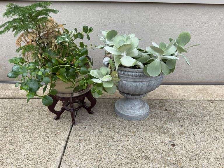 (2) Flower Pots w/ Real Flowers