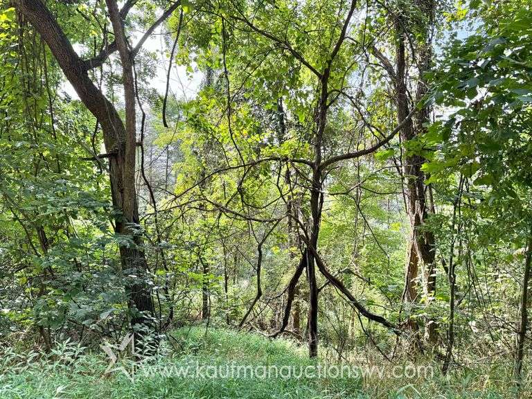 39+/- Acre Clay County Land