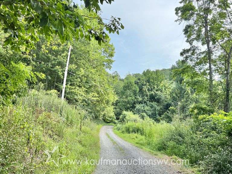 39+/- Acre Clay County Land