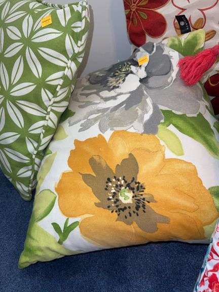 (5) Decorative Pillows